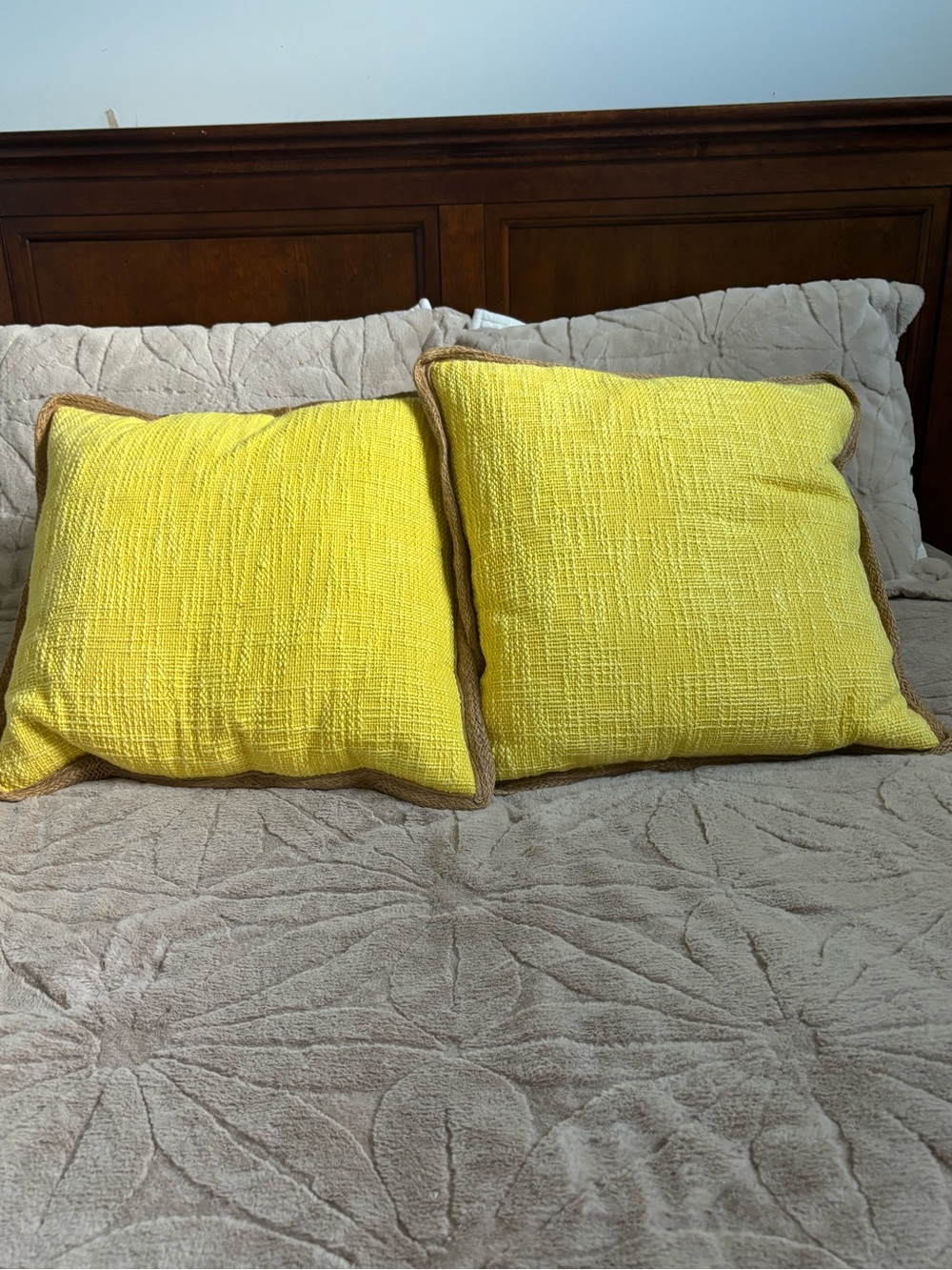 Pair of Echo Canvas Throw Pillows